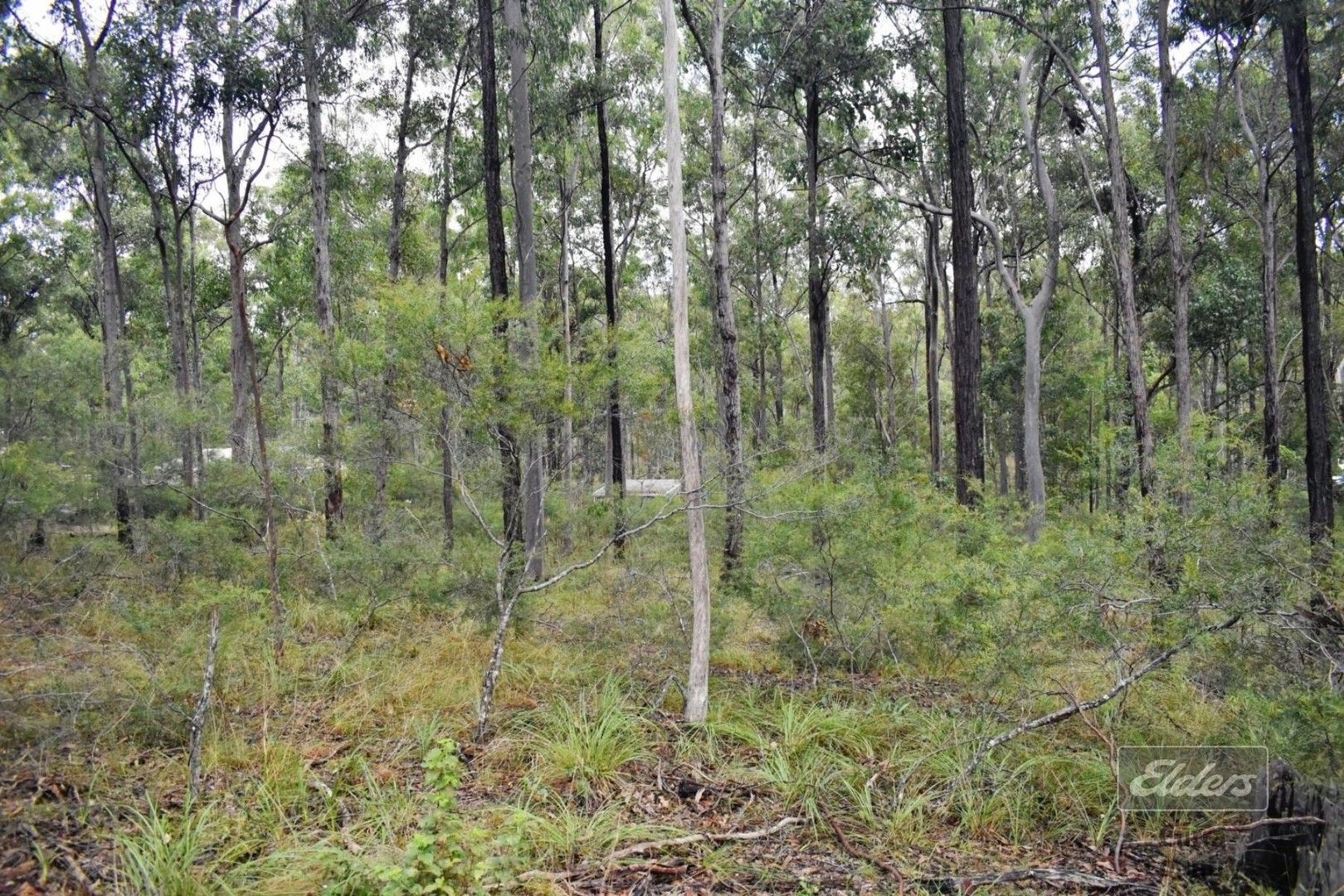 Lot 473 Arborten Road, Glenwood QLD 4570, Image 1