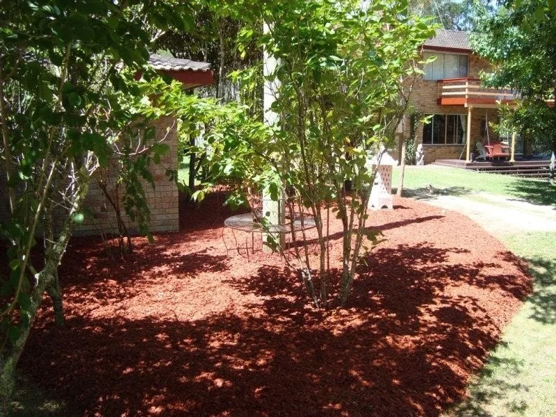 Image 16
