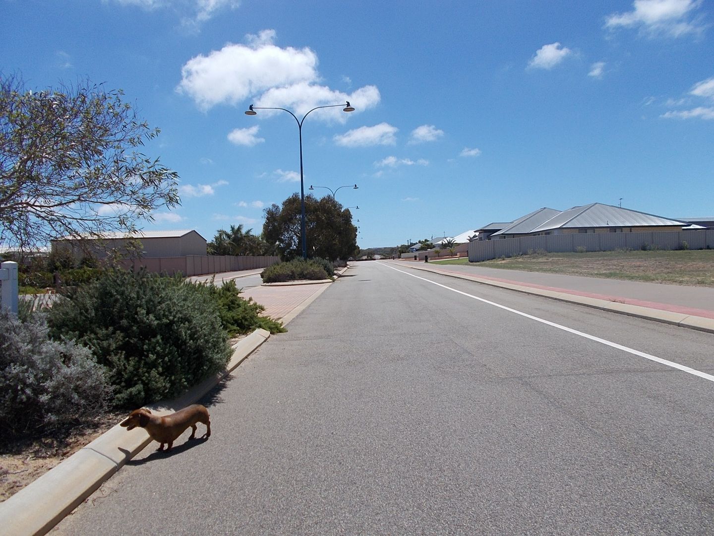 1 Phaeton Road, Moresby WA 6530, Image 2