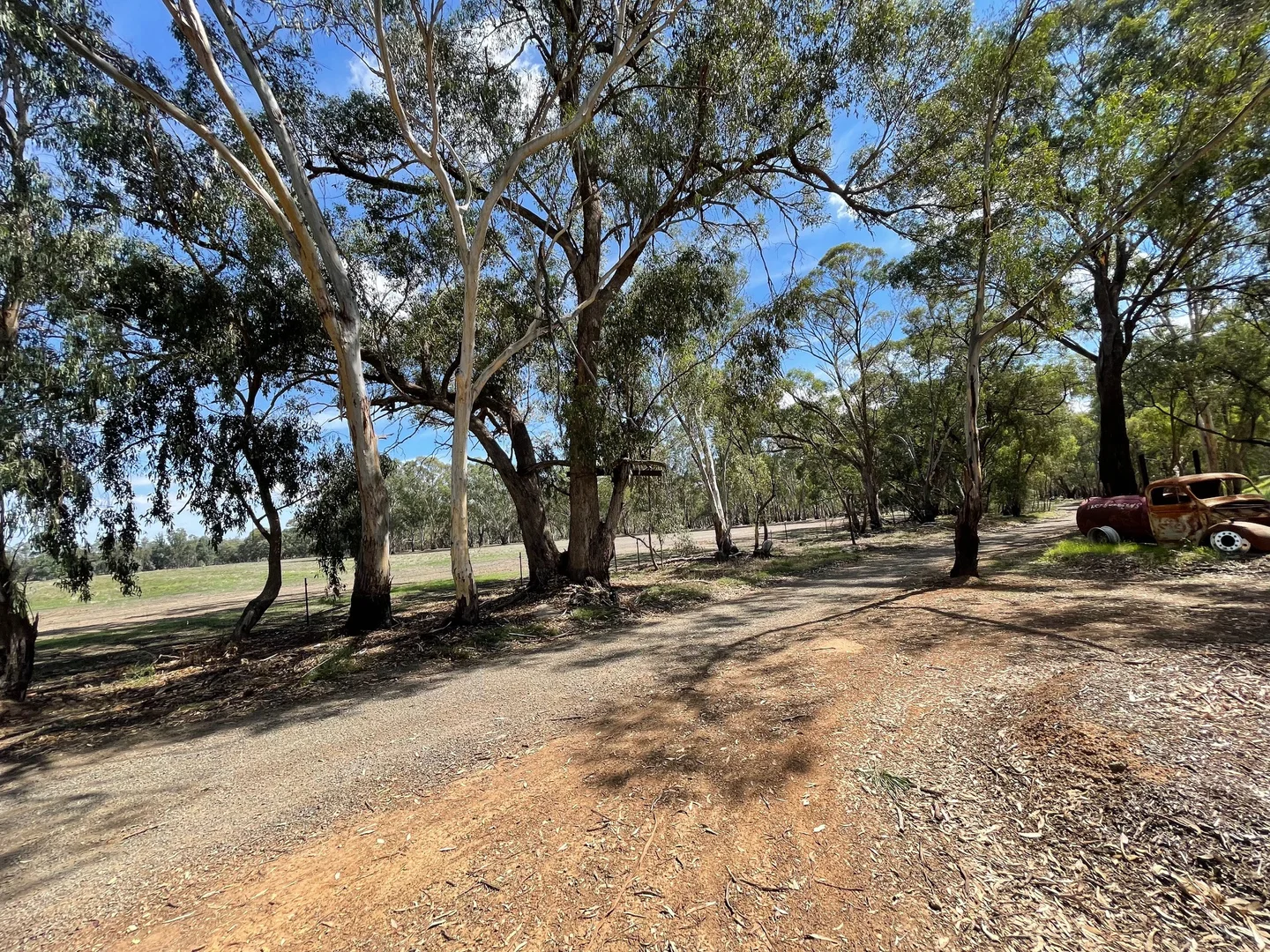 Image 12