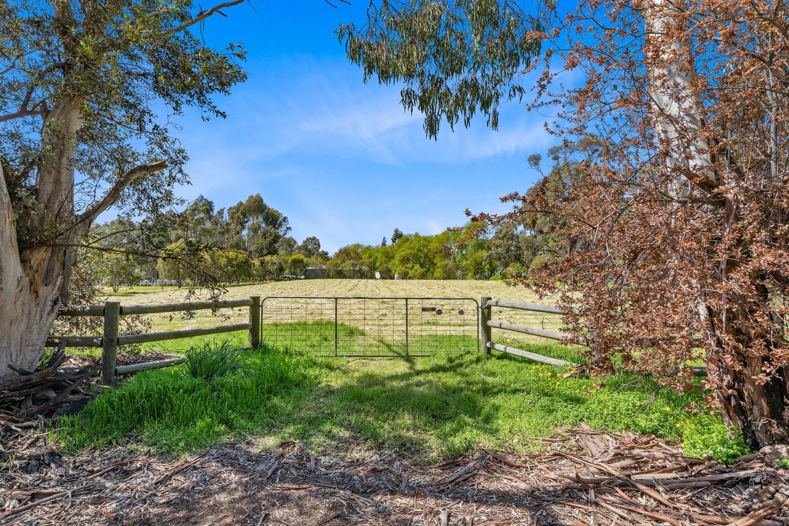 Lot 91 Church Street, Mintaro SA 5415, Image 1