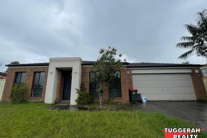 Picture of 11 Spotted Gum Close, HAMLYN TERRACE NSW 2259