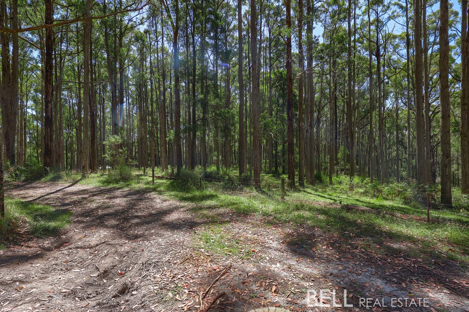lot 1/25 Boyd Road, Gembrook VIC 3783, Image 1