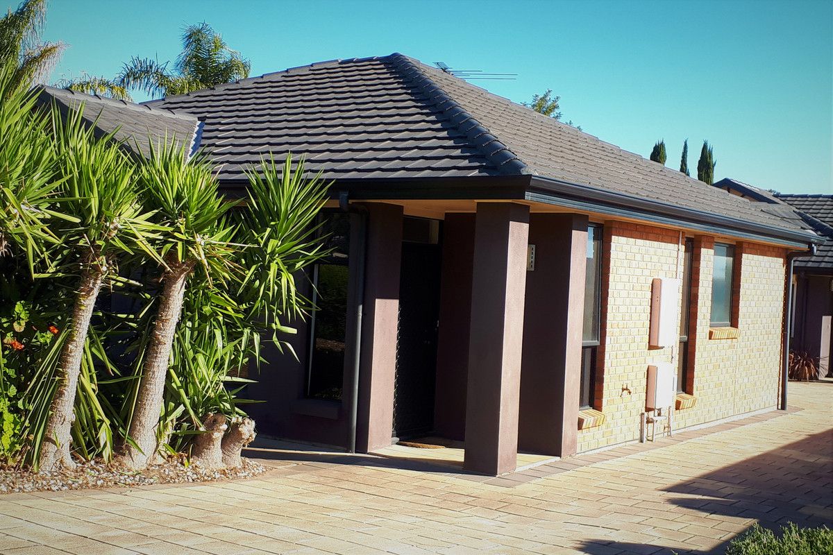 351 Diagonal Road, Gardens SA 5047 House For Rent Domain