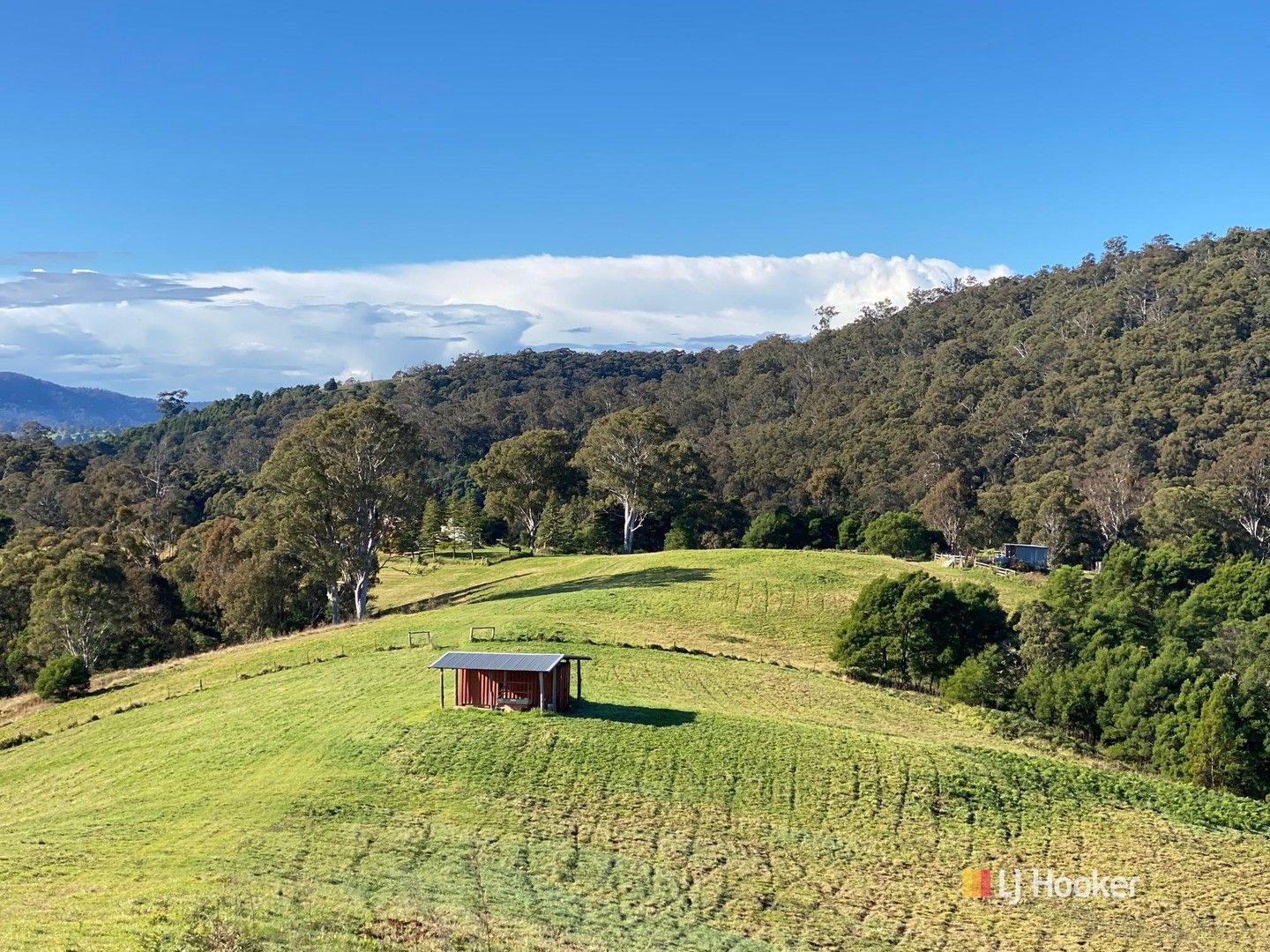 323 Hawks Head Road, Brogo NSW 2550, Image 0