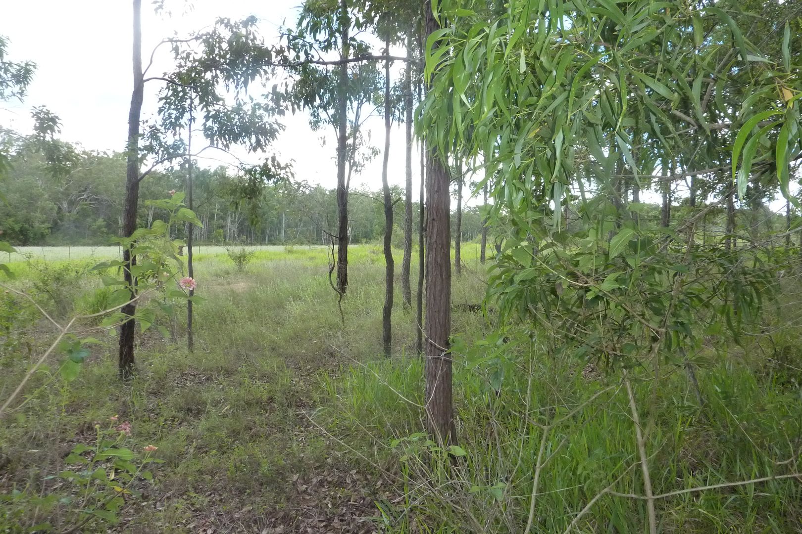 Wondecla QLD 4887, Image 1