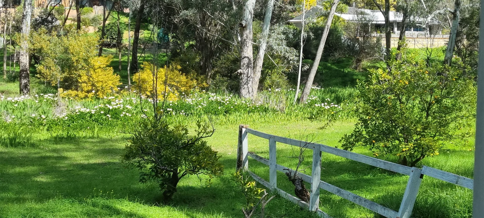 Additional image 2 of 16 Harold St, Glen Forrest WA 6071