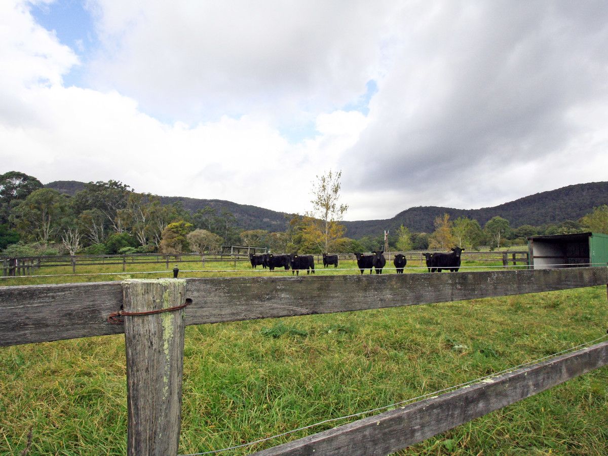 Lot 5 Heaton Road, Quorrobolong NSW 2325, Image 1