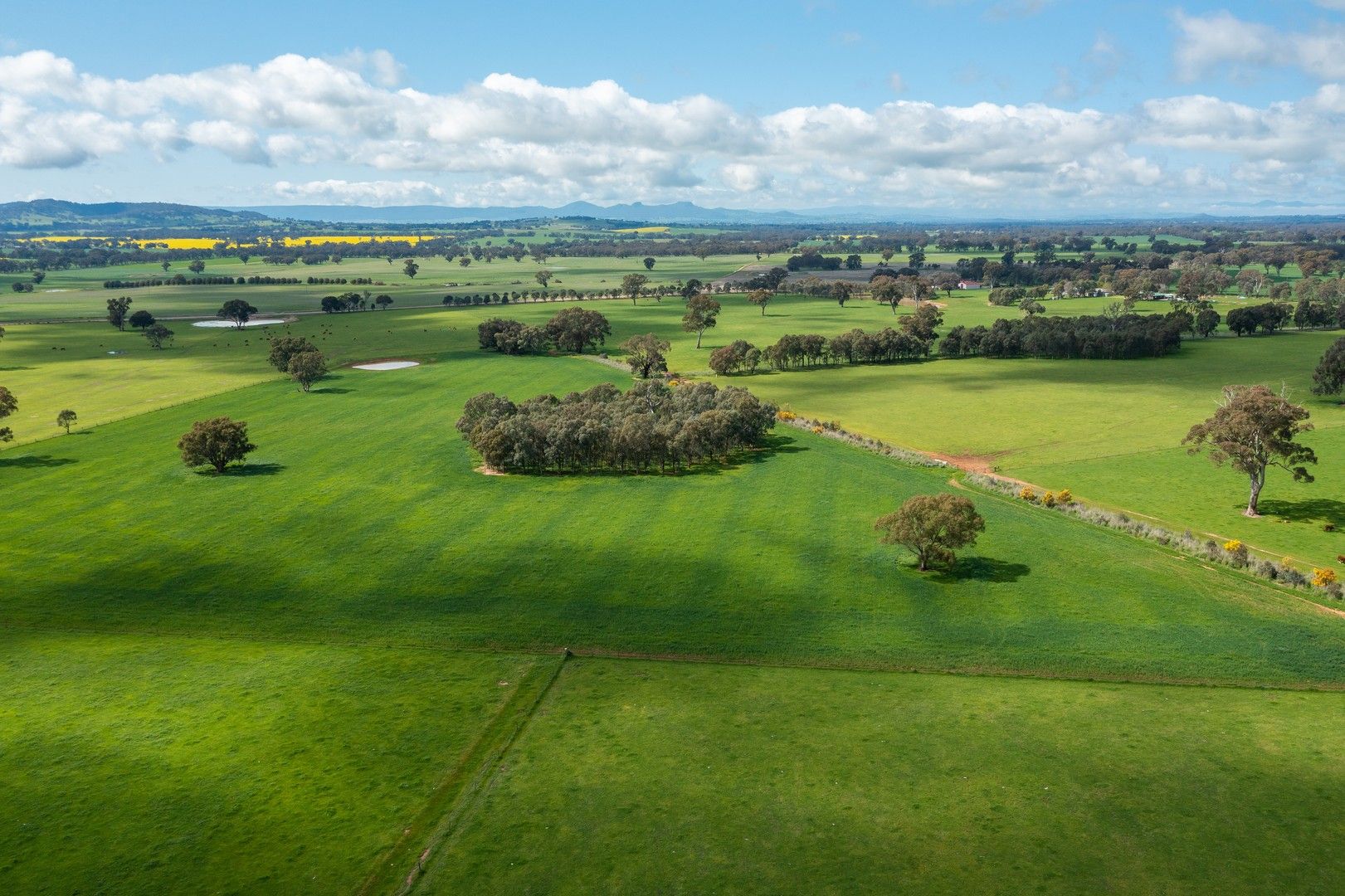 'Glenora'/87 Stony Park Rd, Jindera NSW 2642, Image 0