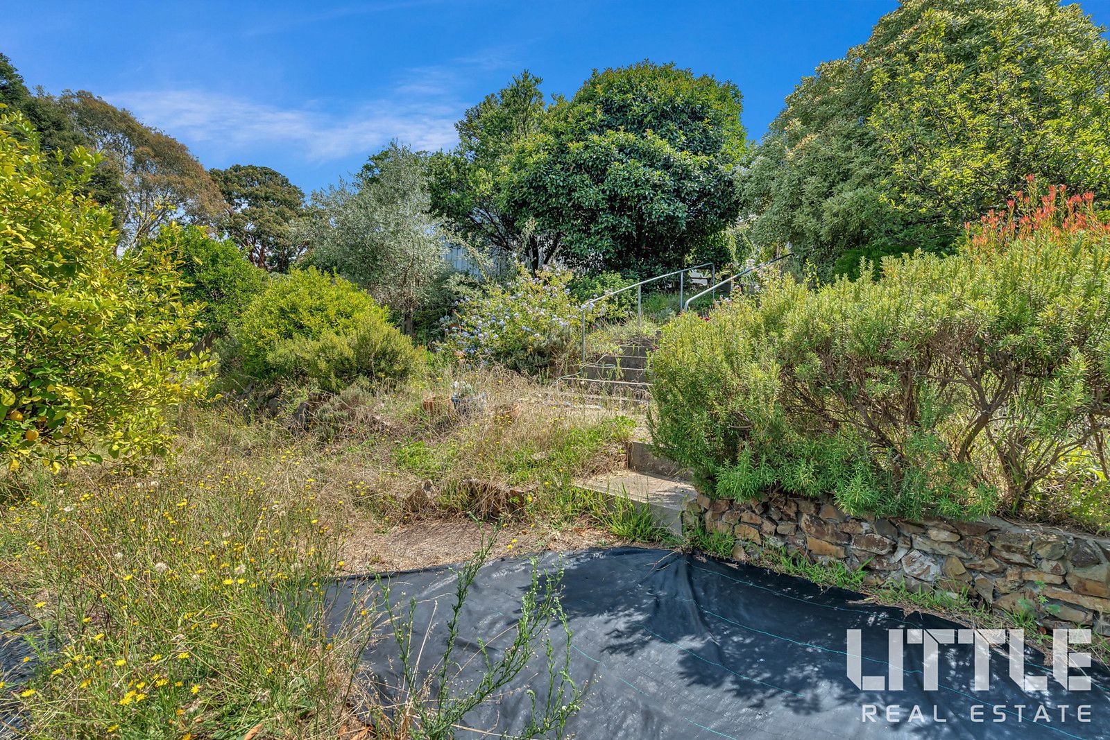 4 Birdie Street, Mount Waverley VIC 3149, Image 2