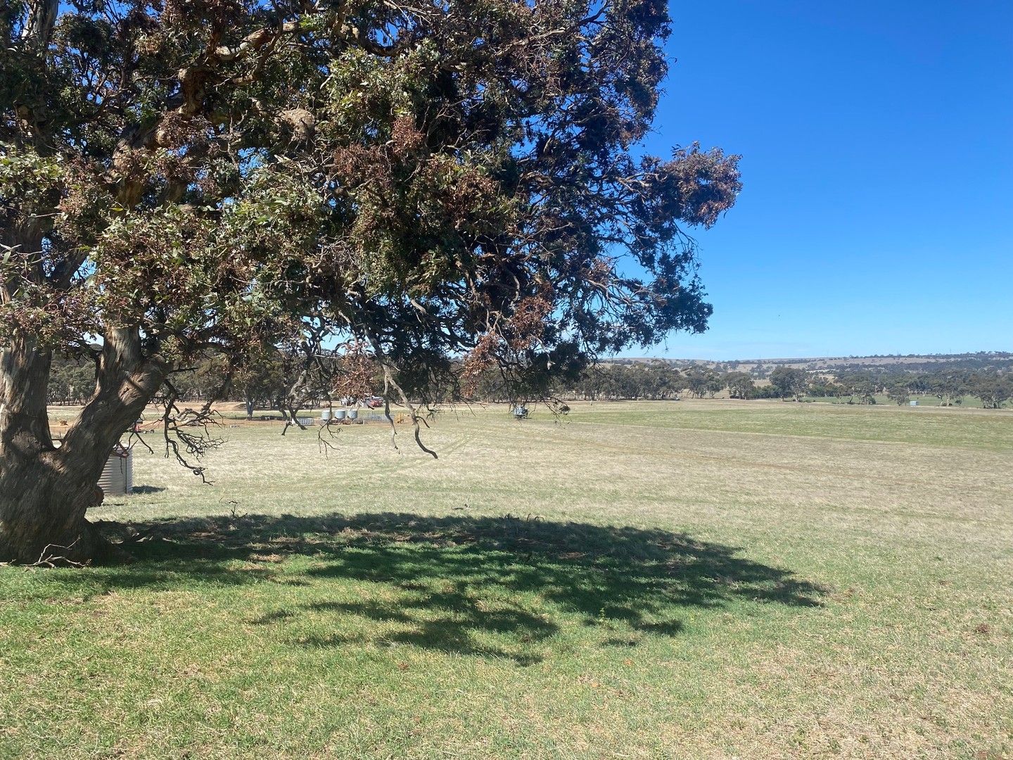 102 Graetztown Road, Keyneton SA 5353, Image 0