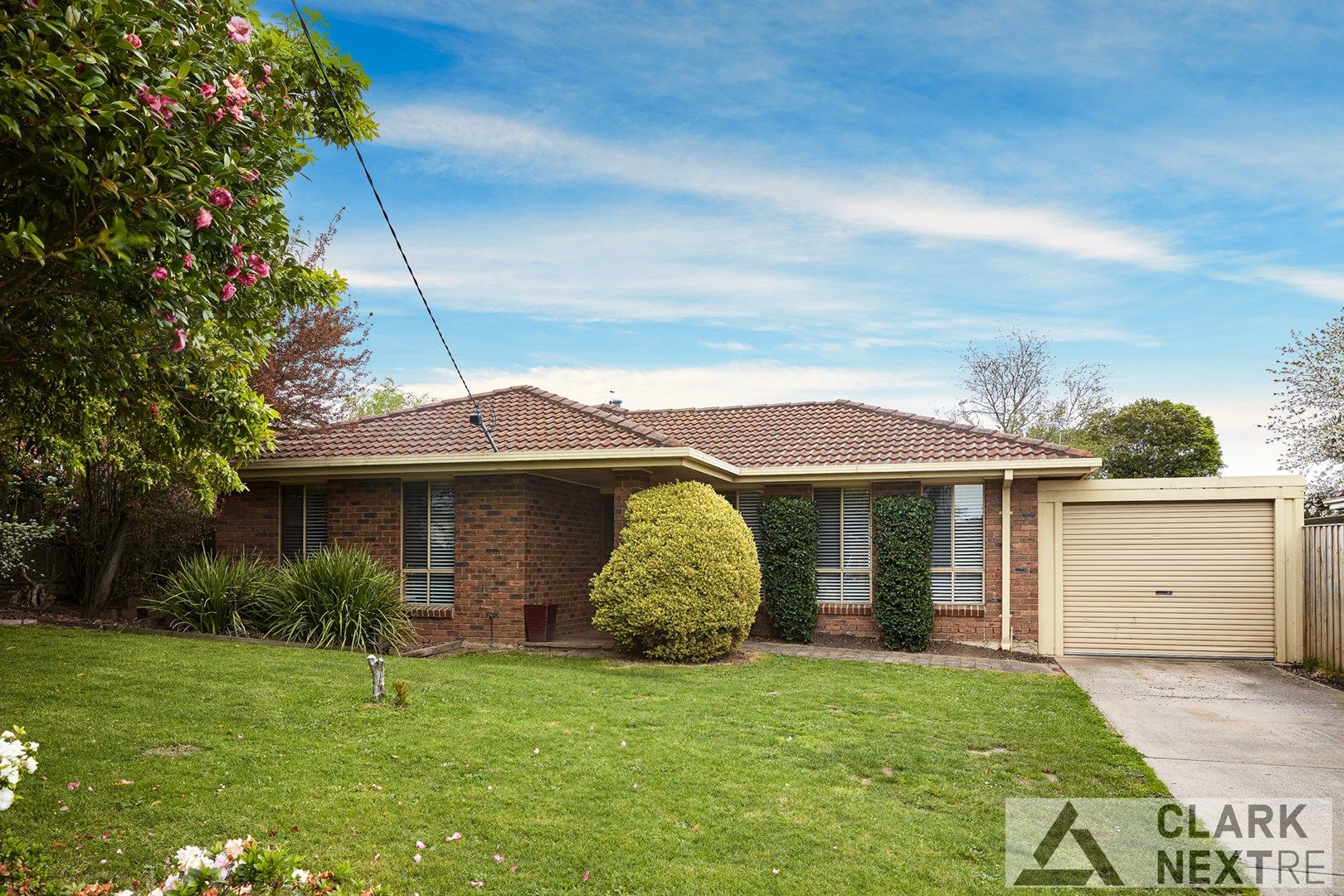 19 Hopetoun Road, Drouin VIC 3818, Image 0