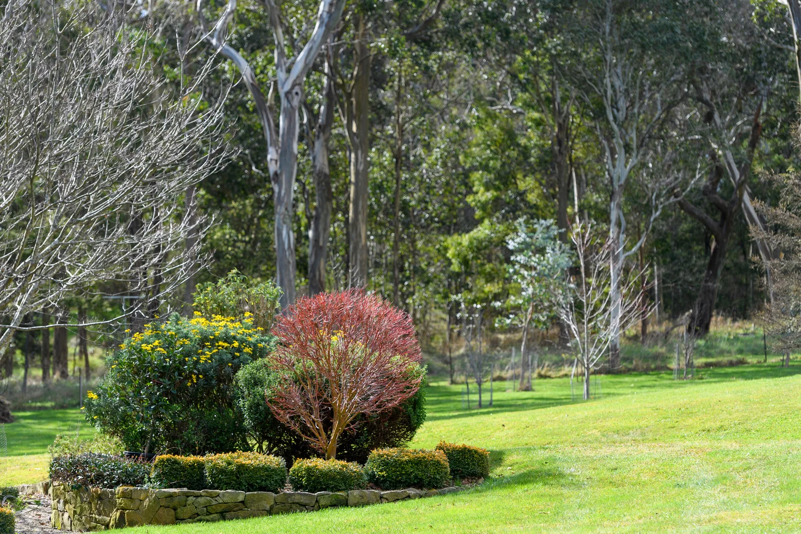 Image 13