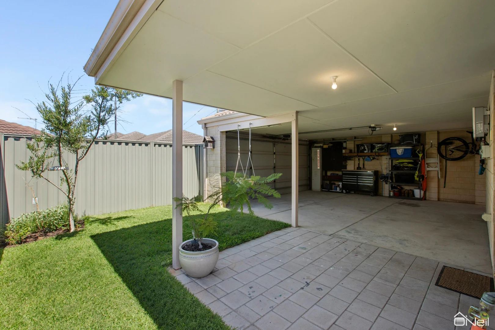 Image 5