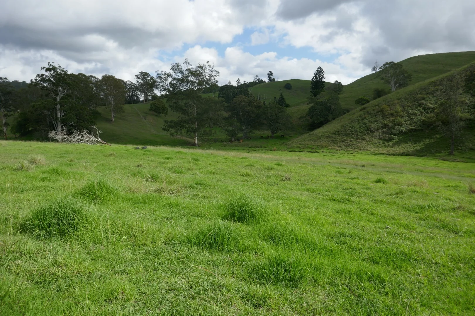 Image 13