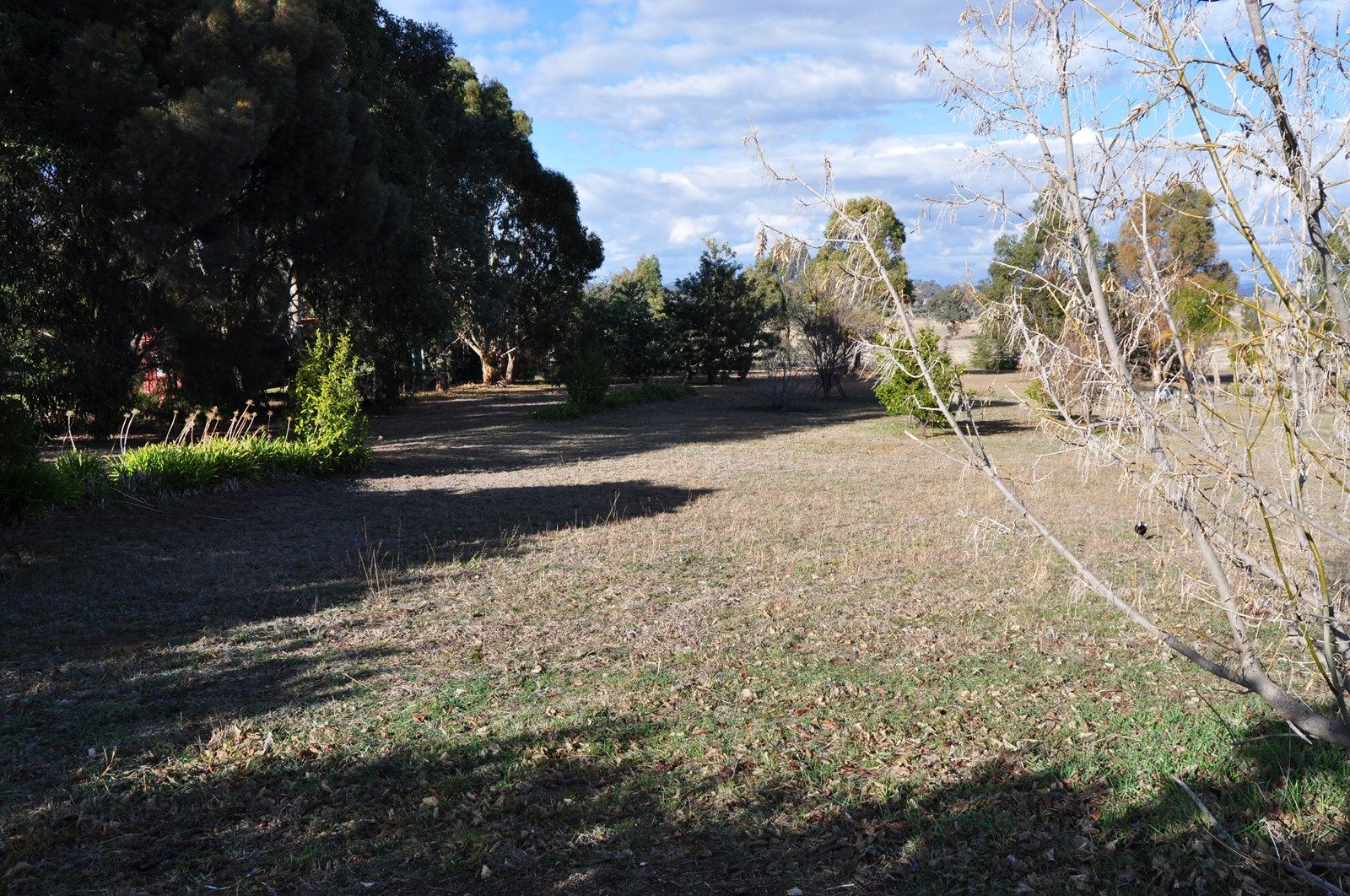 24 Flirtation Hill Lane, Gulgong NSW 2852, Image 2