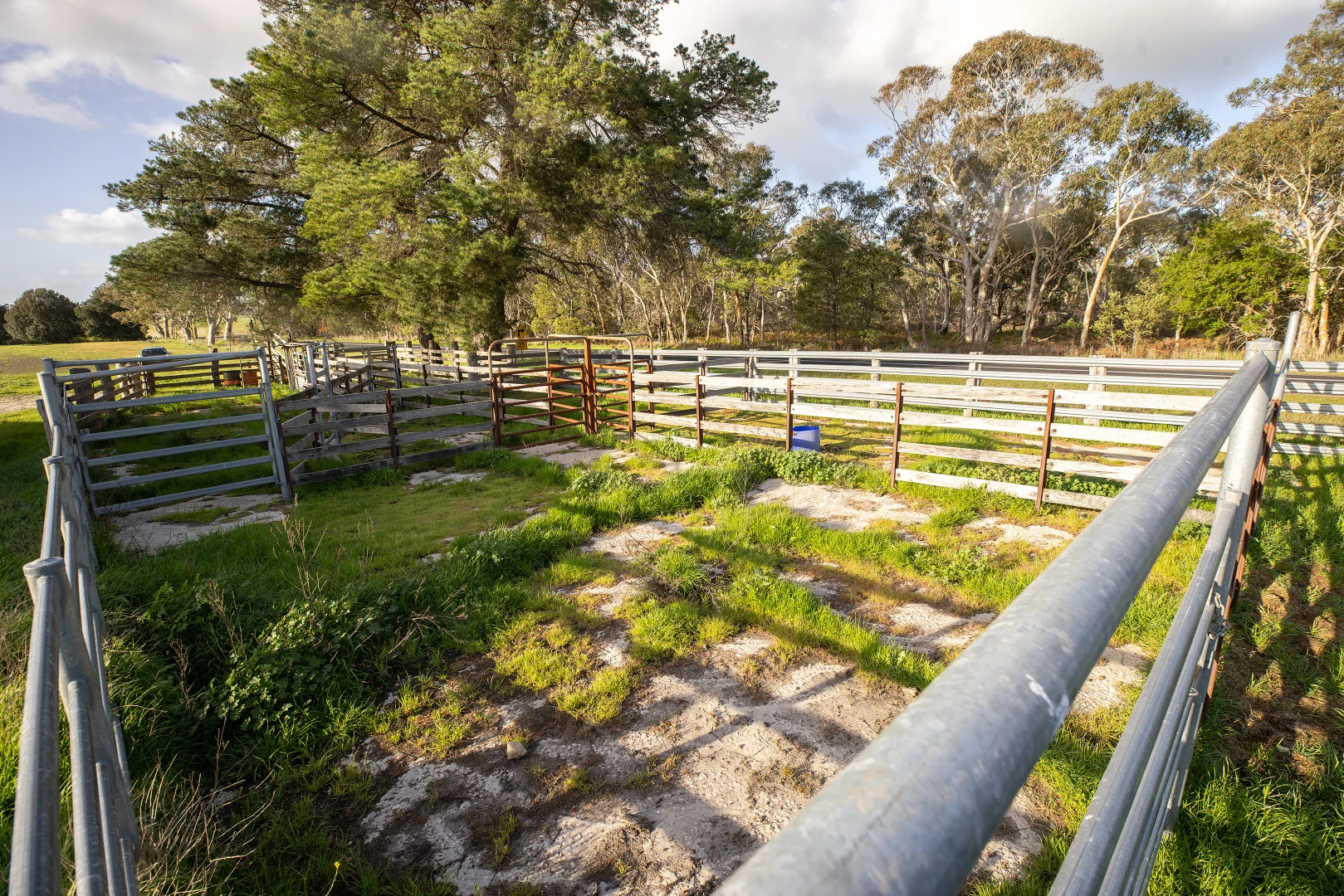 Additional image 31 of 546 Bool Lagoon West Road, Penola SA 5277