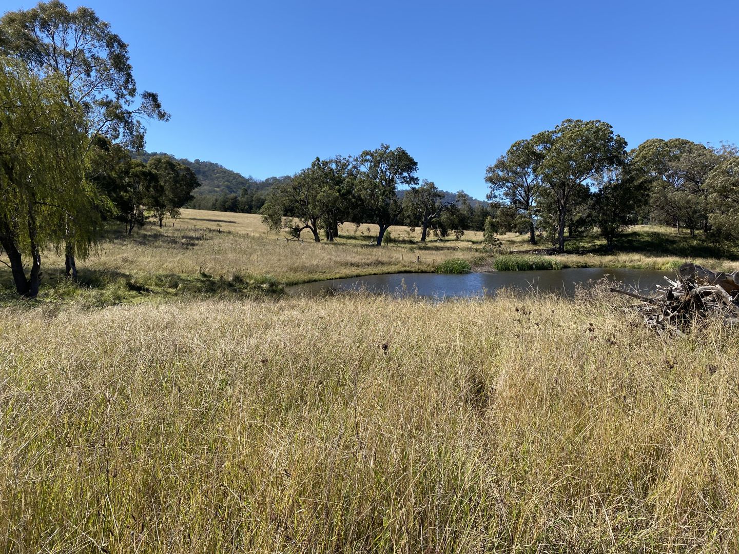 91 Karalee Row, Murrurundi Property History & Address Research Domain