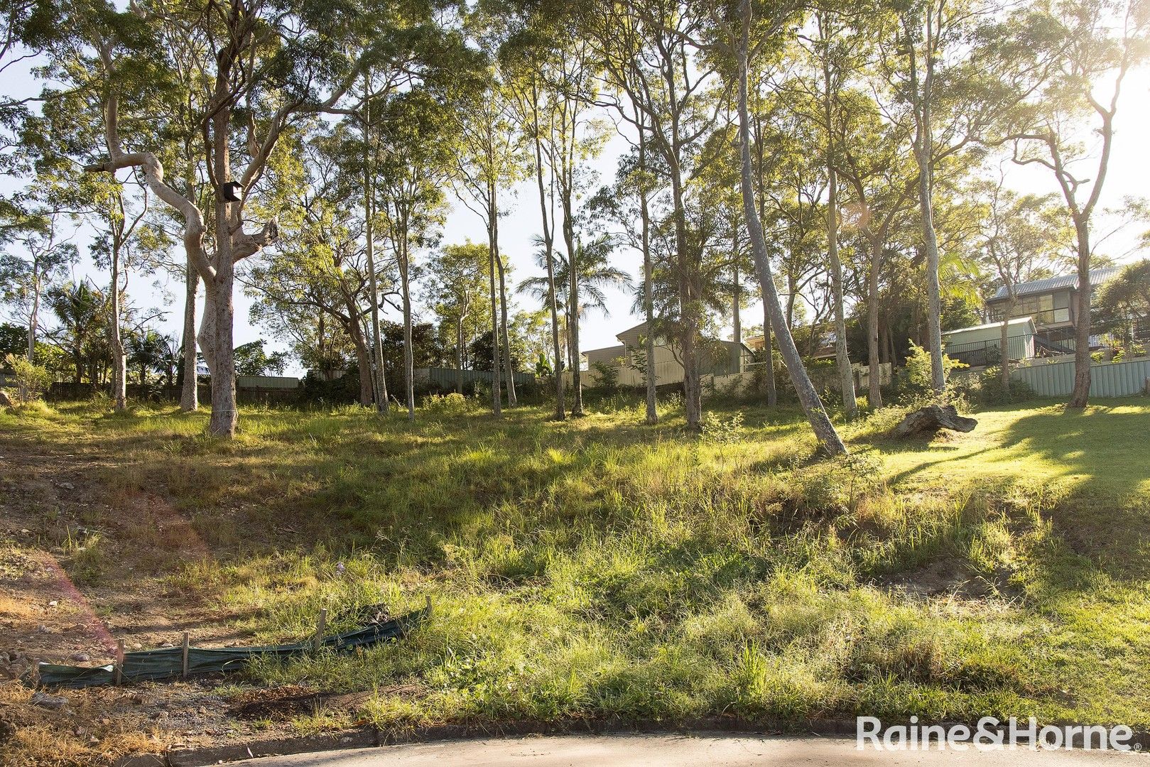 39A Raiss Close, Lemon Tree Passage NSW 2319 Domain