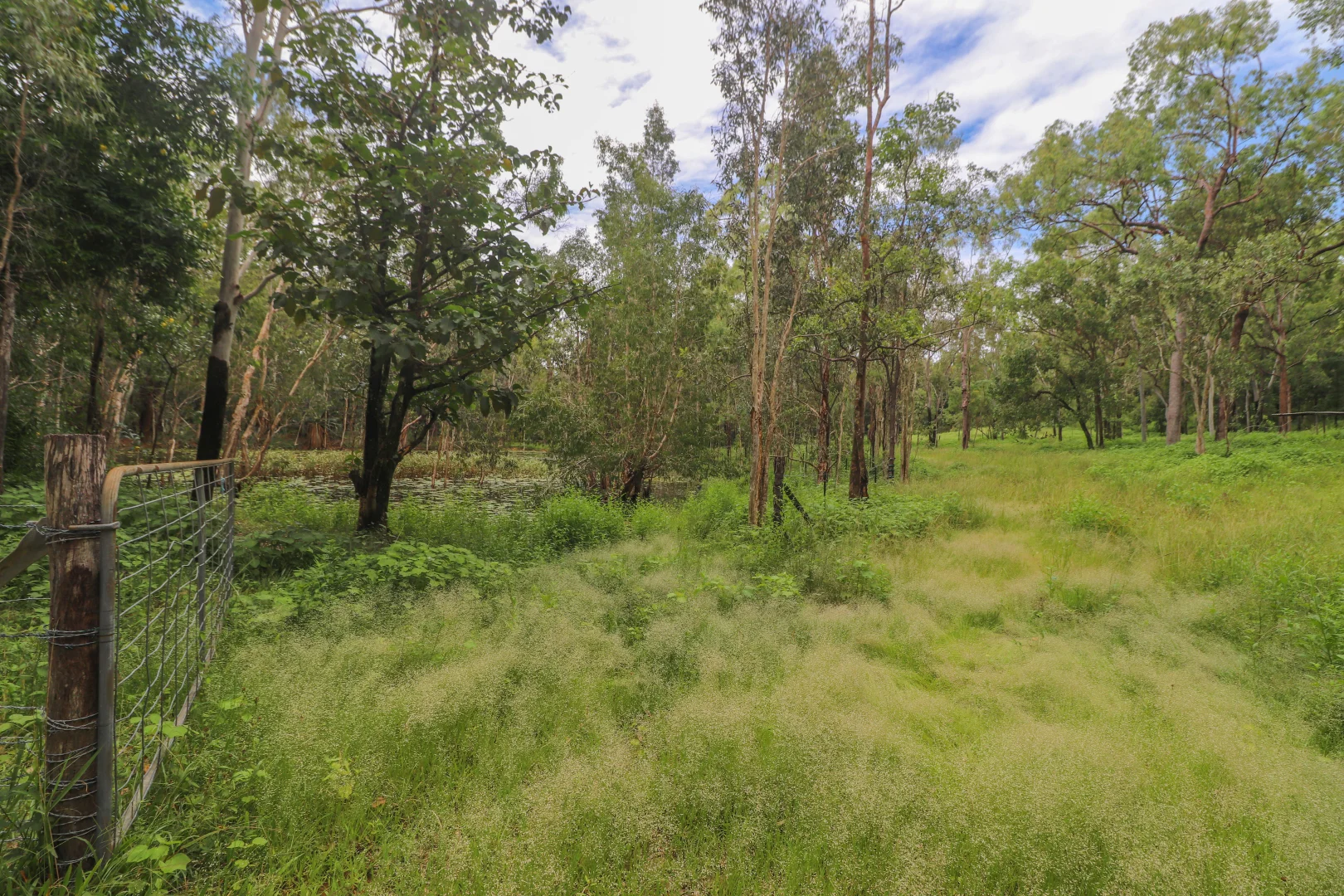 Additional image 48 of 56 Probert Road, Bambaroo QLD 4850