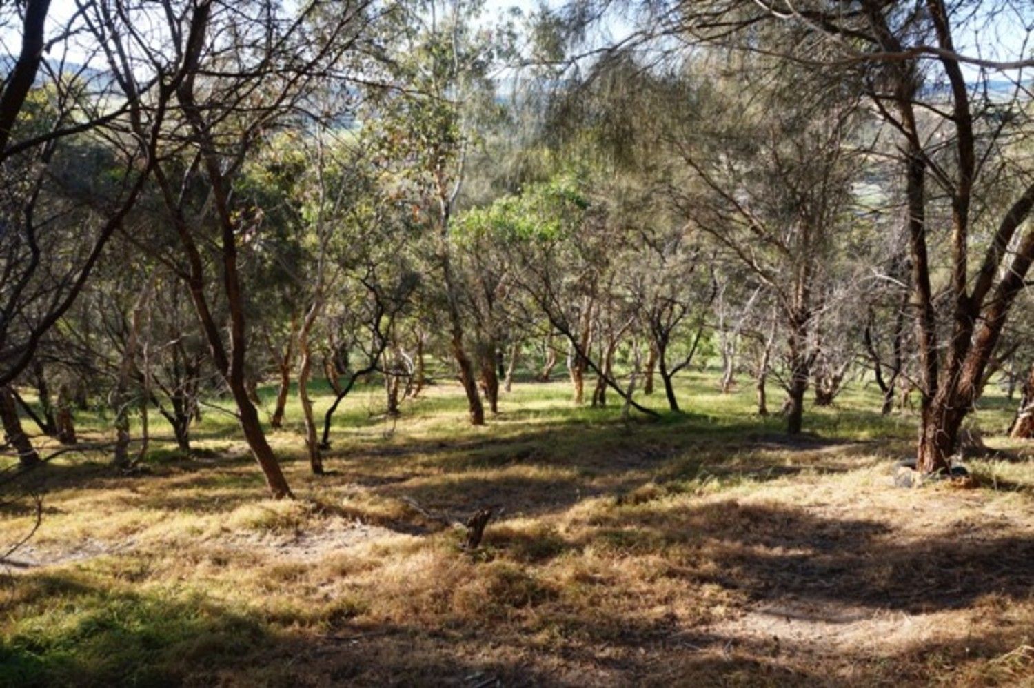 Lot 6 Jervois Road, Yankalilla SA 5203, Image 2