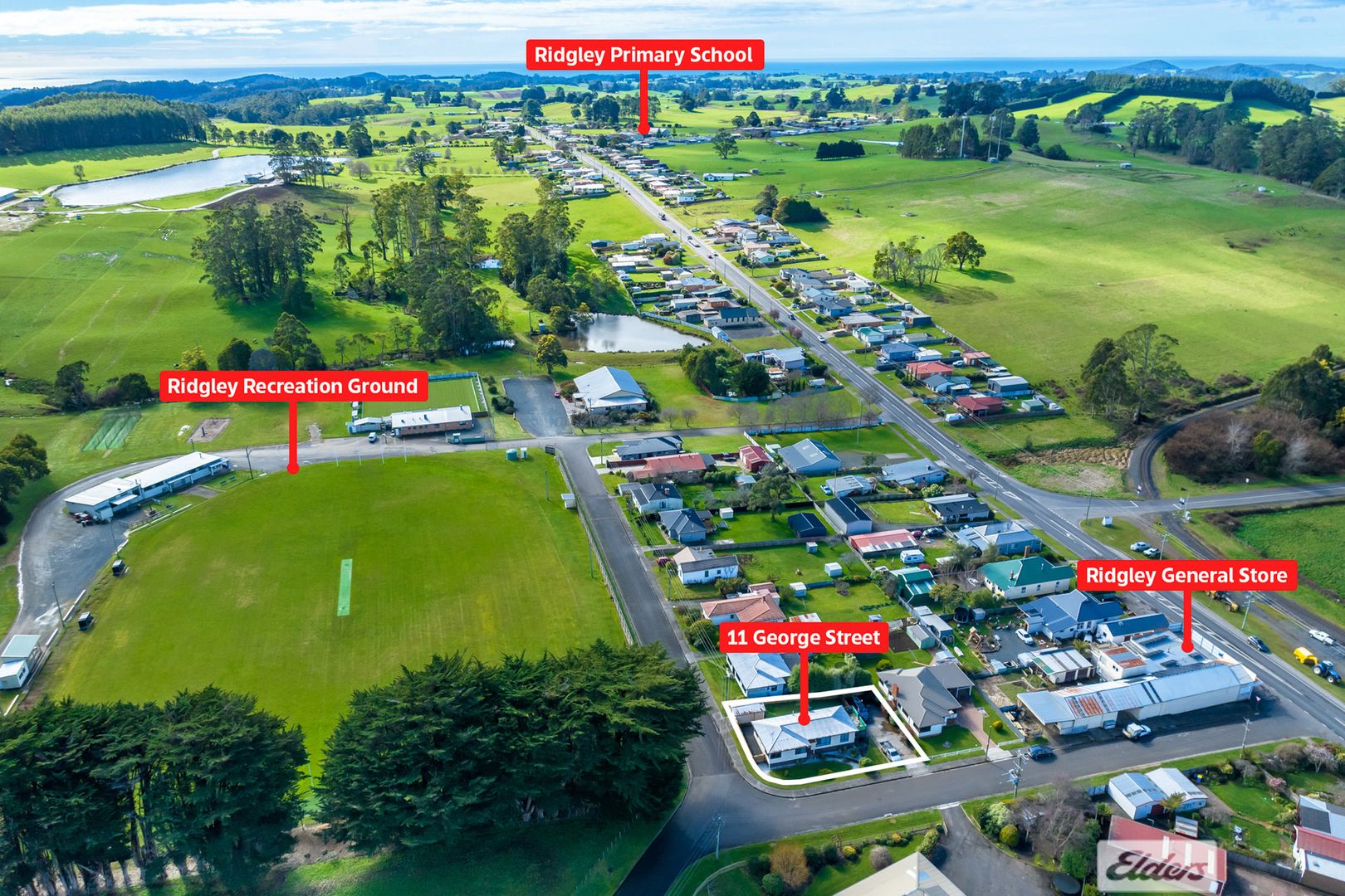 11 Street, Ridgley TAS 7321 Domain