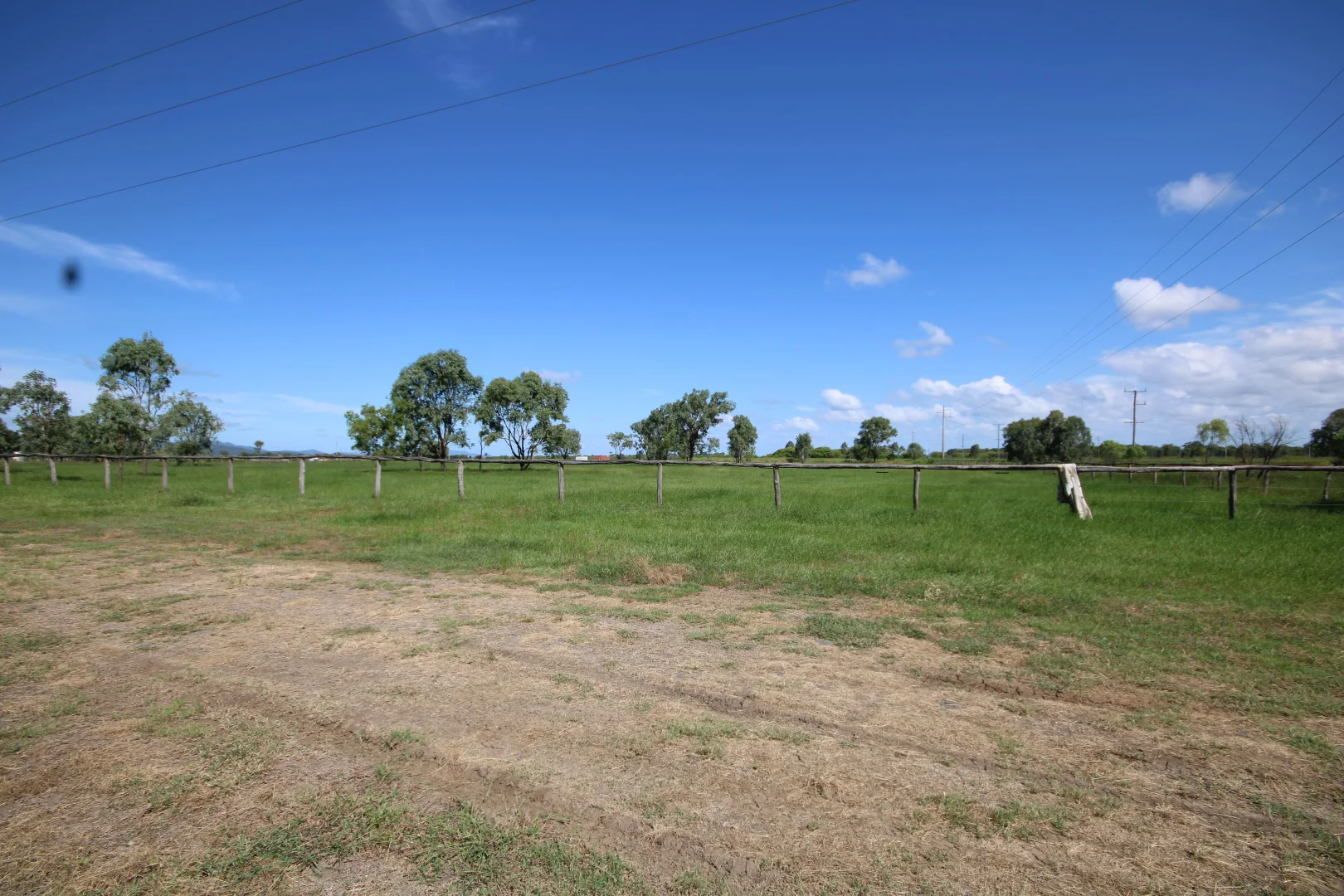 Image 13