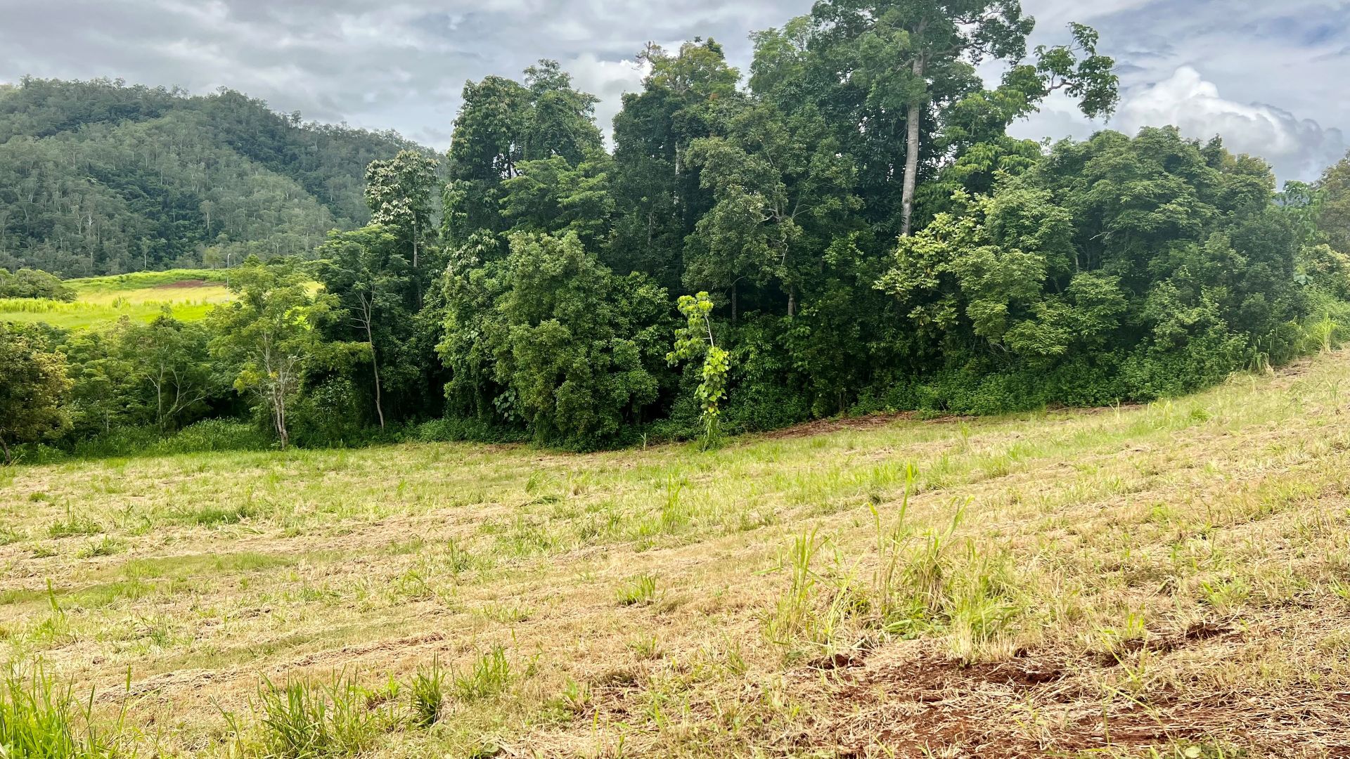 10 Windsong Place, Goldsborough QLD 4865 Domain