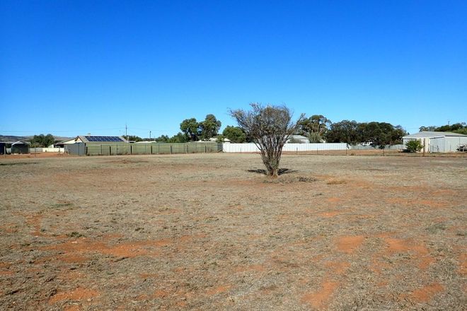 Picture of Allotments 52, 53 & Ninth Street, ORROROO SA 5431