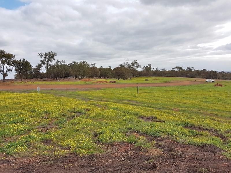 Lot 404 Liberte Crescent, Baskerville WA 6056, Image 2