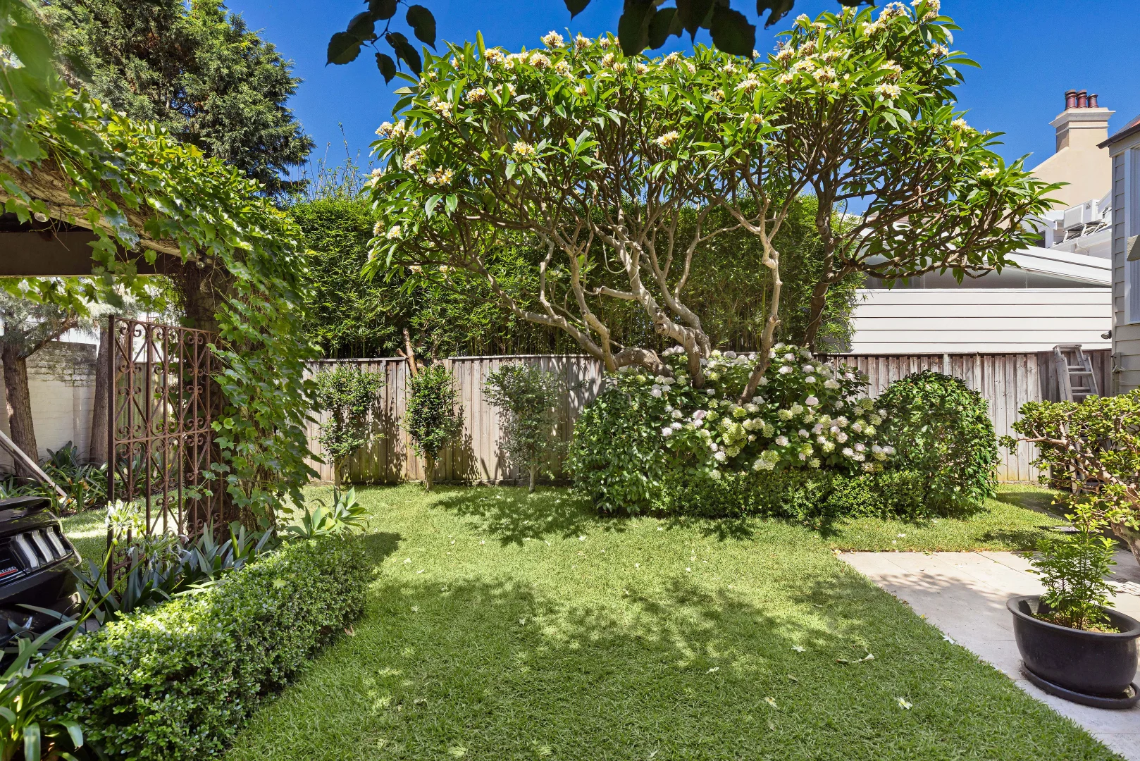 Additional image 17 of 23 Llewellyn Street, Balmain NSW 2041