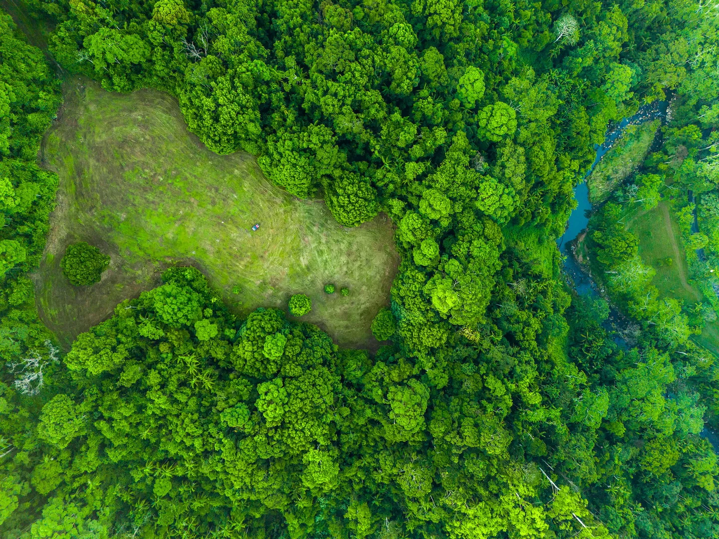 Additional image 37 of 1028 Wilsons Creek Road, Wilsons Creek NSW 2482