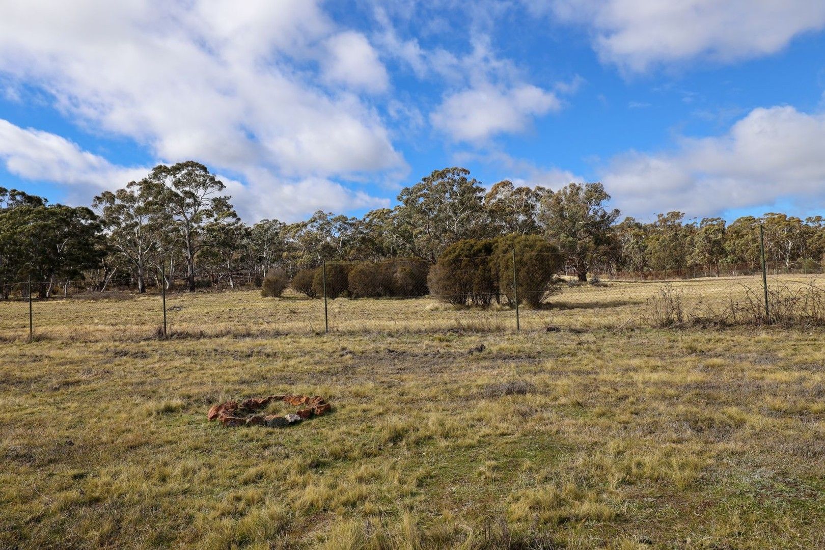 295 Wolgon Road, Oallen NSW 2580, Image 0