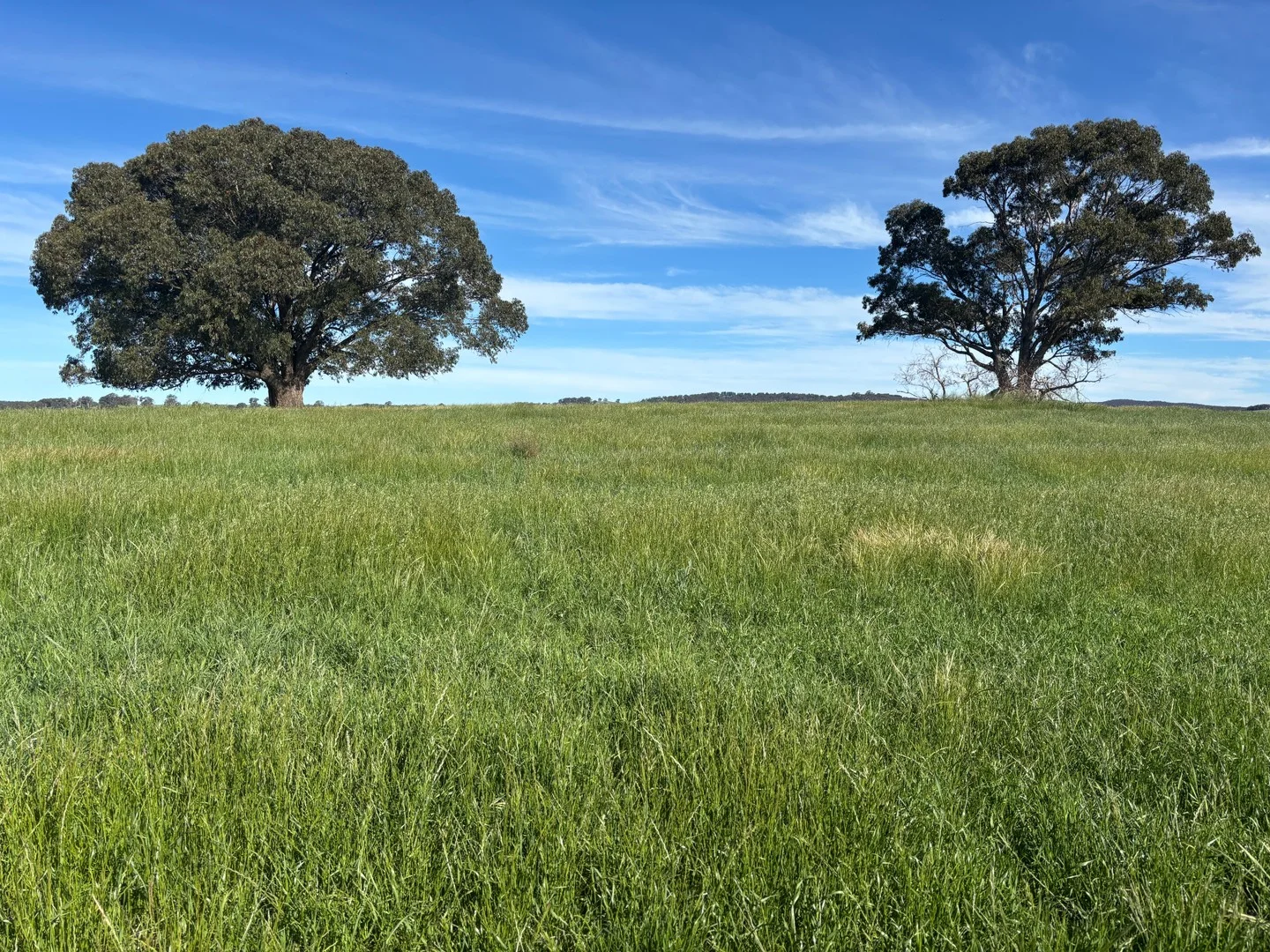 1050 Garland Road, Garland NSW 2797