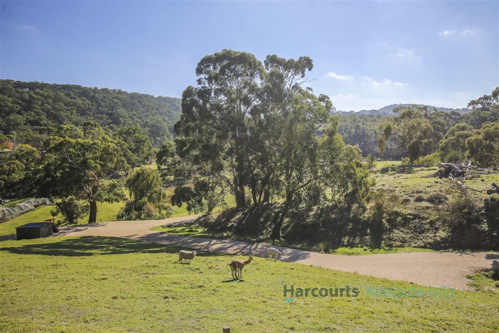 Lot 41 Scott Creek Road, Scott Creek SA 5153, Image 1