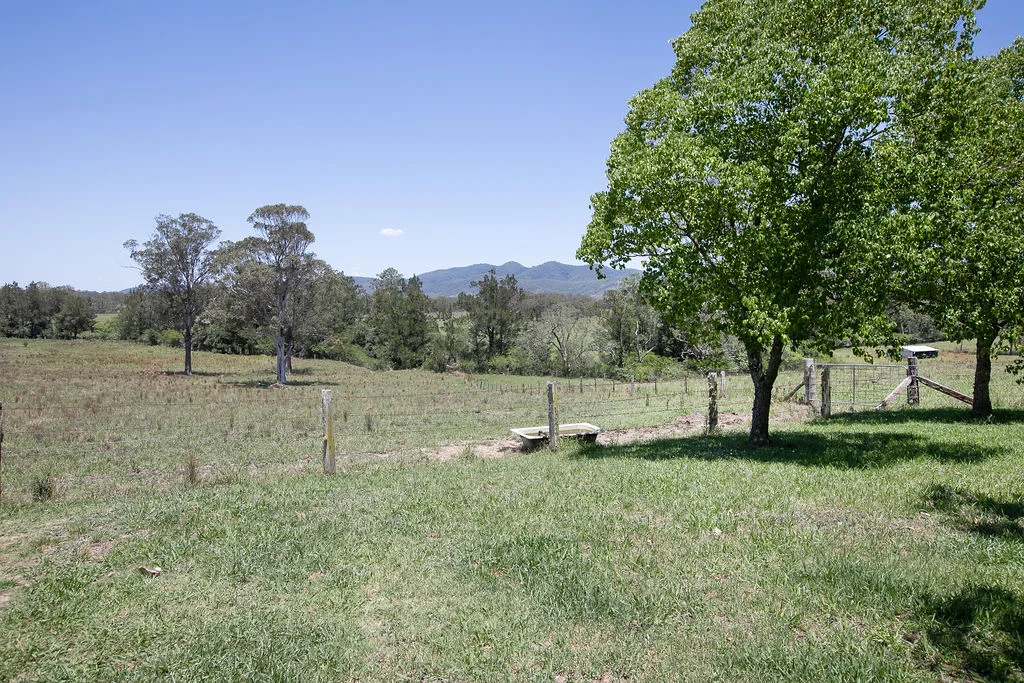 Image 19