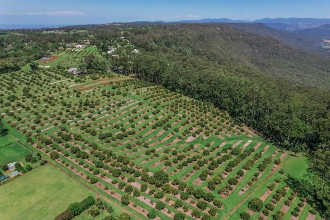 Picture of Lot 9/41-43 Manitzky Road, TAMBORINE MOUNTAIN QLD 4272