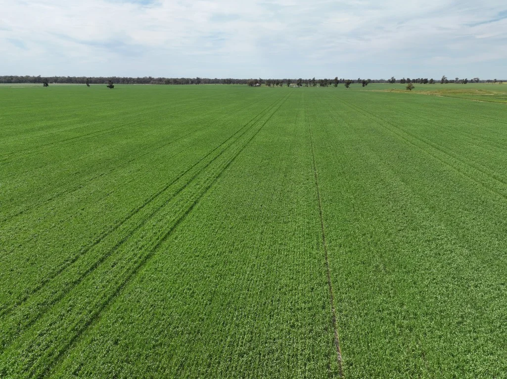 Image 10