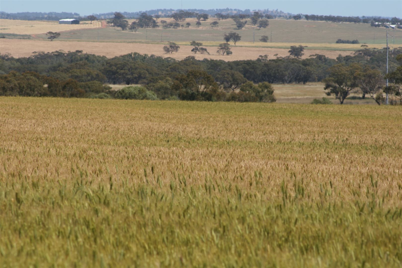 . Boramin & Mulukine Road, Grass Valley WA 6403, Image 1