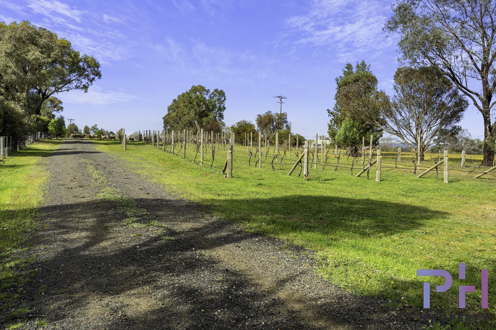 Additional image 5 of 384A Sinclairs Road, Strathfieldsaye VIC 3551
