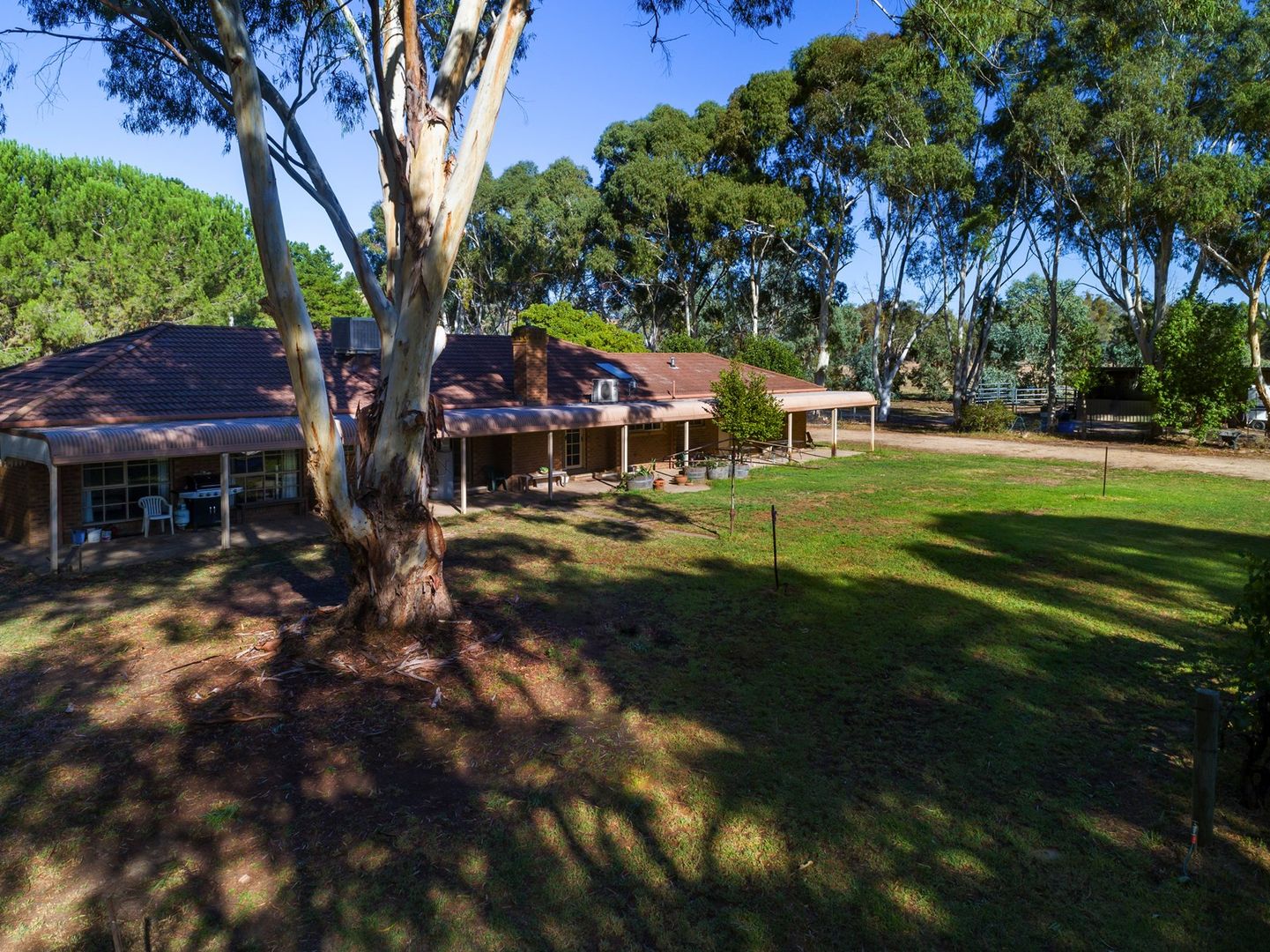 709 Indigo Creek Rd, Indigo Valley VIC 3688, Image 2