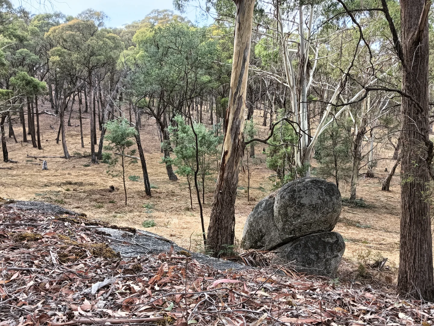 Image 22