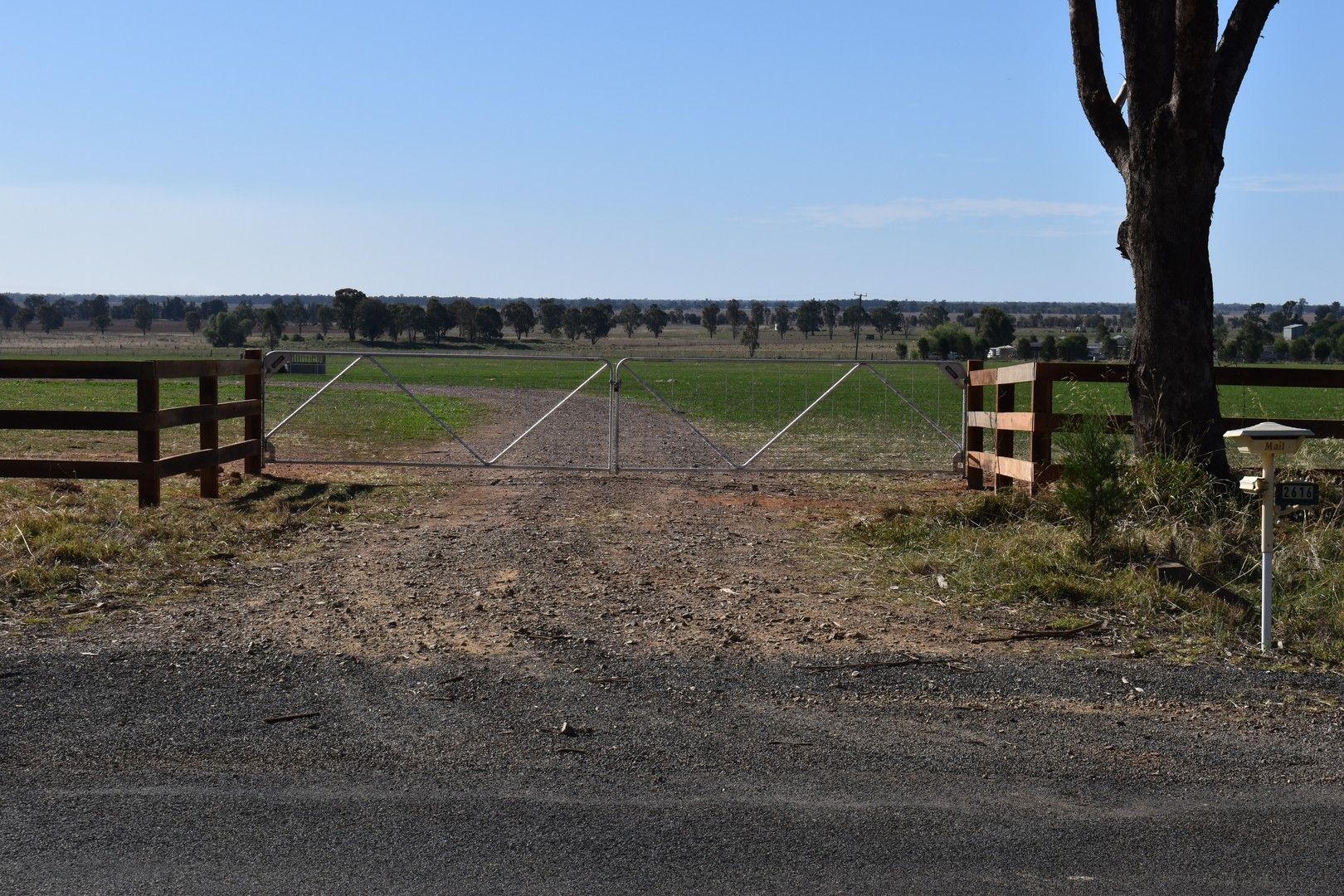 2616 Wirrinya Road, Forbes NSW 2871 House for Sale 550,000