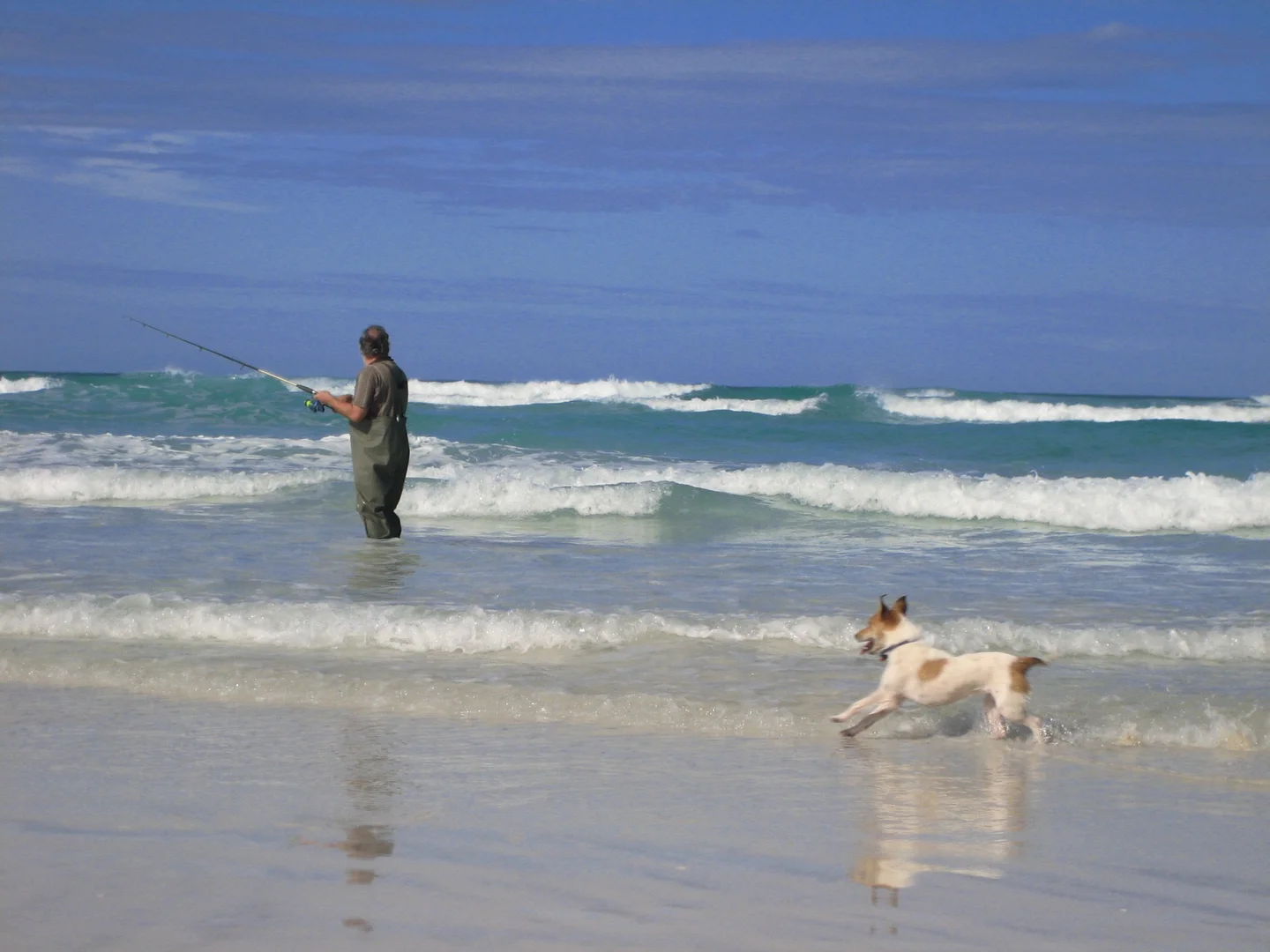 Additional image 15 of Lot 338 South Terrace, Fowlers Bay SA 5690