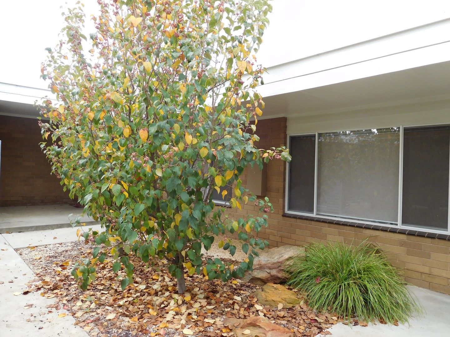 2 bedrooms Apartment / Unit / Flat in 3/25A Havlin Street BENDIGO VIC, 3550