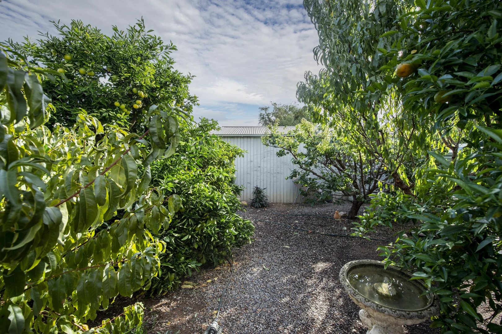 Image 26