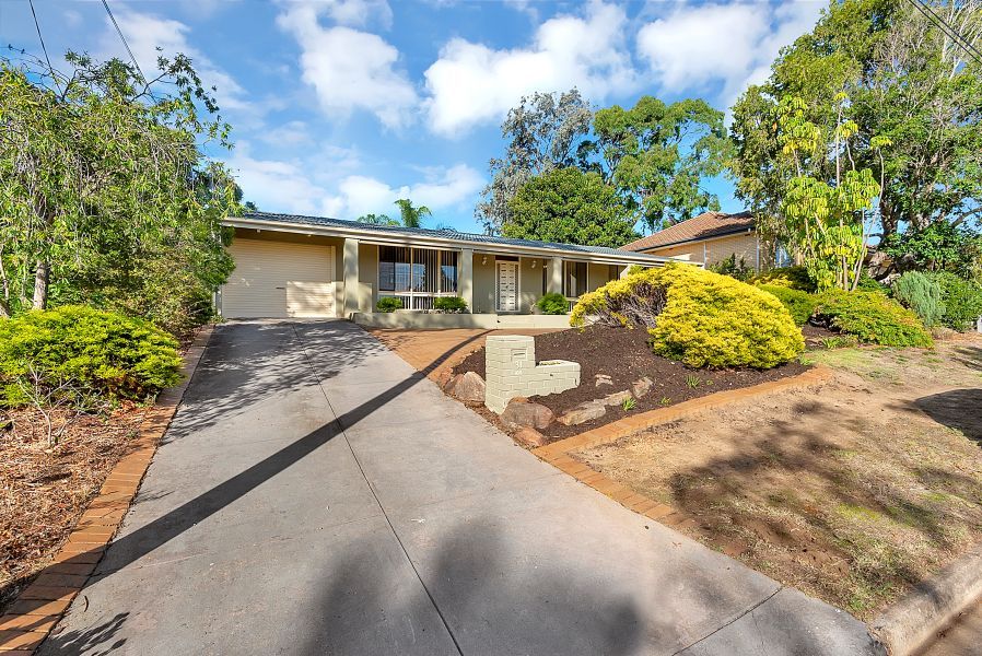 31 Waitara Rd, Banksia Park SA 5091, Image 1