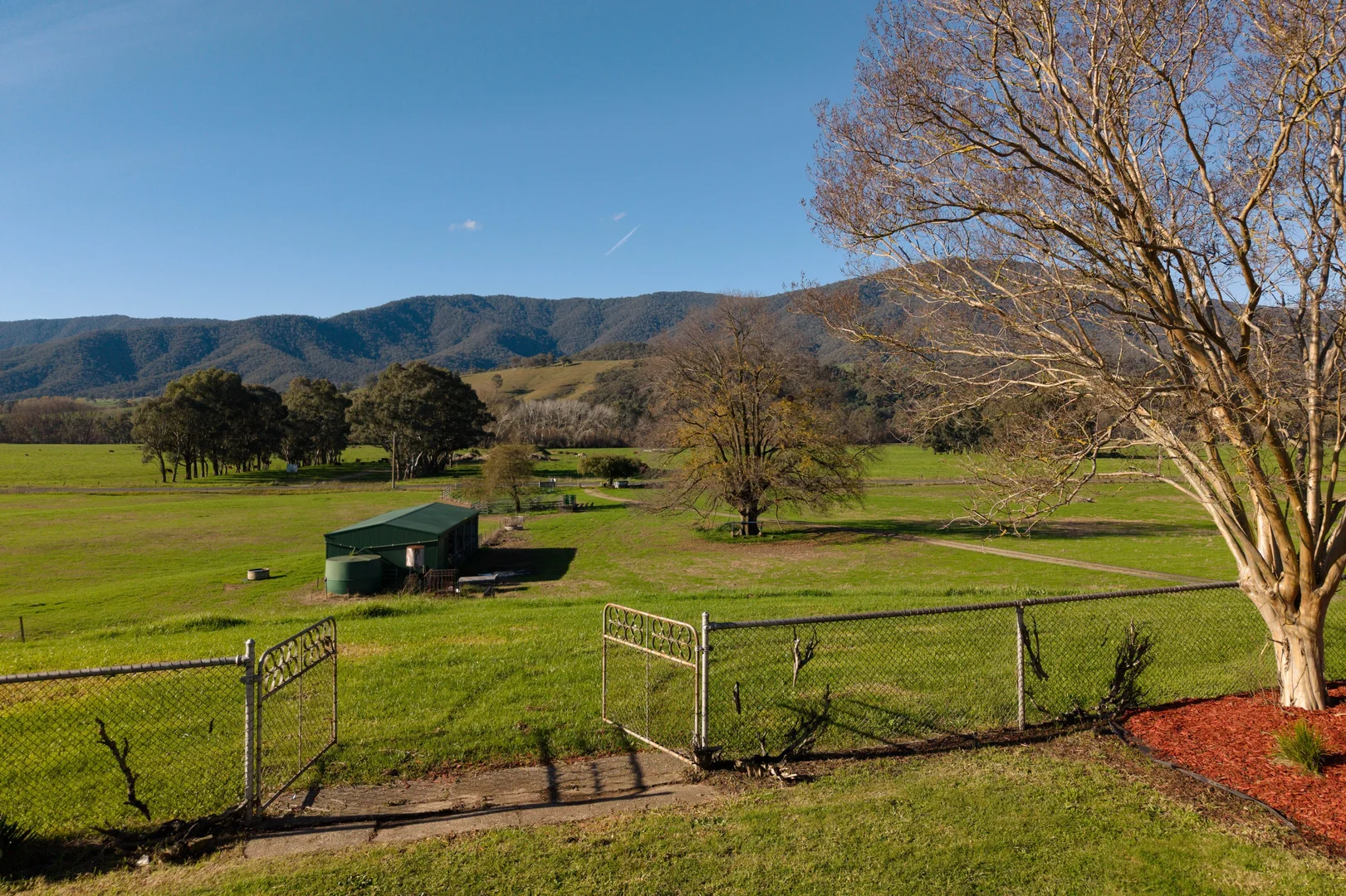 Image 12