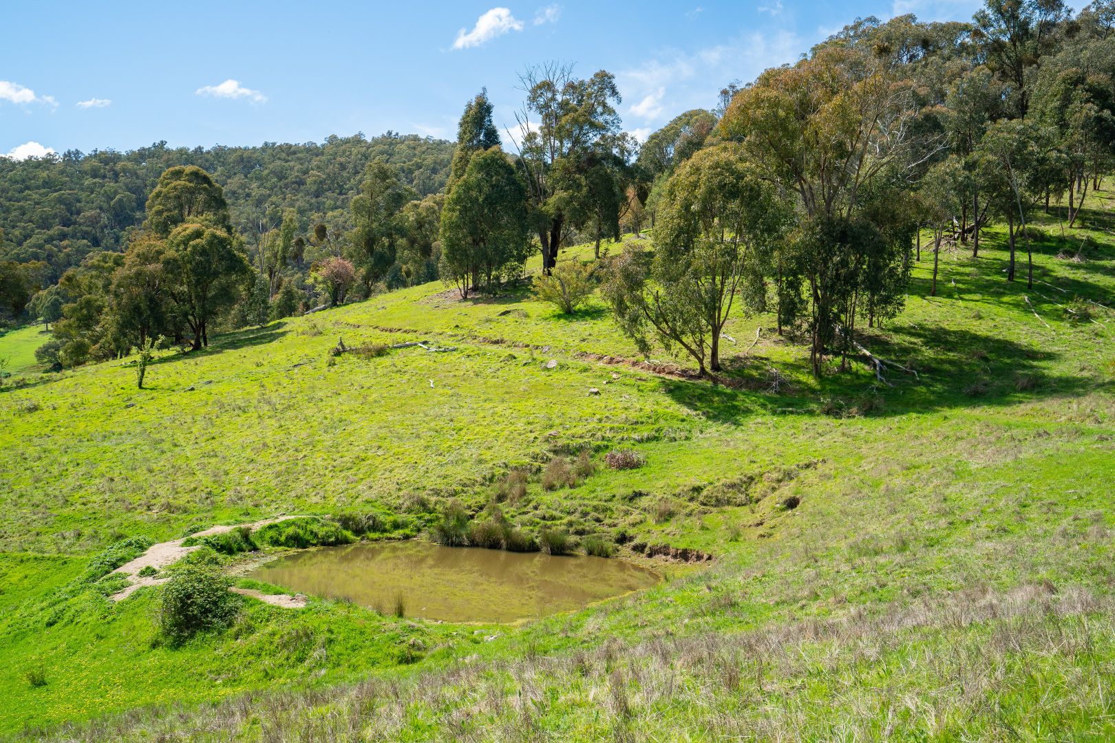 'Cherry Plum'/265 Little Snowy Creek Rd, Eskdale VIC 3701, Image 2