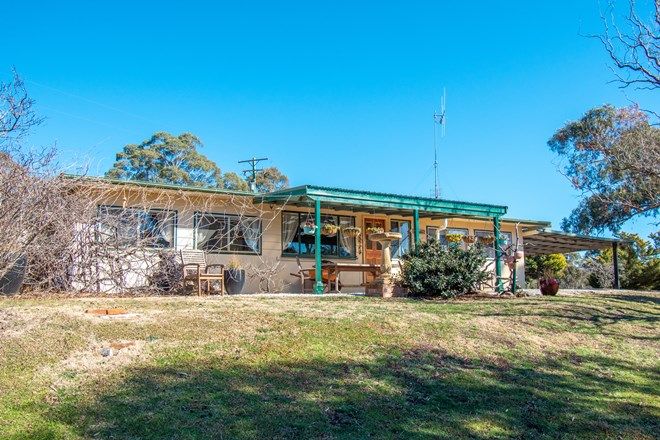 Picture of 254 Soldiers Hill Road, WISEMANS CREEK NSW 2795